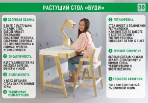 Комплект растущий стол и стул 38 попугаев «Вуди» (Серый, Без покрытия) в Ханты-Мансийске - hanty-mansiysk.mebel-74.com | фото