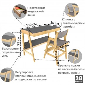 Комплект растущий стол и стул с чехлом 38 попугаев «Вуди» (Серый, Береза, Серый) в Ханты-Мансийске - hanty-mansiysk.mebel-74.com | фото