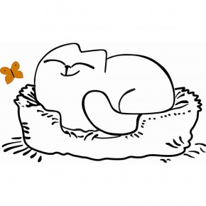 Кровать двухуровневая Кот № 900.1 ПРАВАЯ (туя светлая/белый) в Ханты-Мансийске - hanty-mansiysk.mebel-74.com | фото