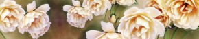 Кухонный фартук Цветы 066 МДФ матовый (3000) Flowers в Ханты-Мансийске - hanty-mansiysk.mebel-74.com | фото