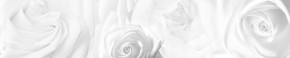 Кухонный фартук Цветы 217 МДФ матовый (3000) Flowers в Ханты-Мансийске - hanty-mansiysk.mebel-74.com | фото