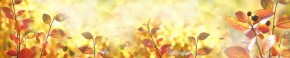 Кухонный фартук Цветы 318 МДФ матовый (3000) Flowers в Ханты-Мансийске - hanty-mansiysk.mebel-74.com | фото