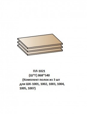 ПЛ-1021 (Комплект полок из 3 шт для ШК-1001, 1002, 1003, 1004, 1005, 1007) в Ханты-Мансийске - hanty-mansiysk.mebel-74.com | фото
