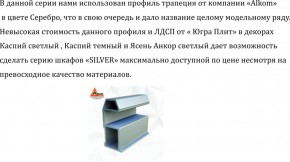 Шкаф-купе 1300 серии SILVER S5+S5+B2+PL3 (2 ящика+2 штанги) профиль «Серебро» в Ханты-Мансийске - hanty-mansiysk.mebel-74.com | фото