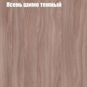 Шкаф-купе «ТАНДЕМ» 2-х дверный в алюминиевом профиле (Дверь ЛДСП+ЛДСП) 1800/h2200 в Ханты-Мансийске - hanty-mansiysk.mebel-74.com | фото