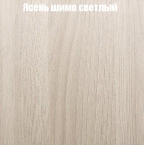 Шкаф-купе «ТАНДЕМ» 2-х дверный в алюминиевом профиле (Дверь Z+Z) 1600/h2200 в Ханты-Мансийске - hanty-mansiysk.mebel-74.com | фото