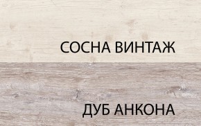 Шкаф с витриной 1V1D1S, MONAKO, цвет Сосна винтаж/дуб анкона в Ханты-Мансийске - hanty-mansiysk.mebel-74.com | фото