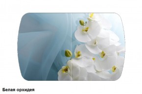 Стол Бостон 2 (1100*700) опоры Брифинг (Стекло/фотопечать Белая орхидея) в Ханты-Мансийске - hanty-mansiysk.mebel-74.com | фото